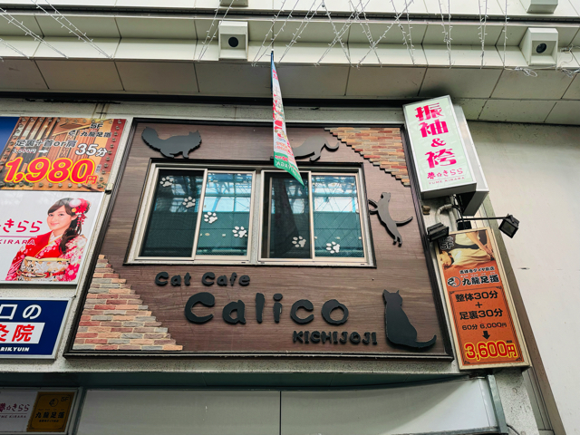 保護猫カフェきゃりこ武蔵野店