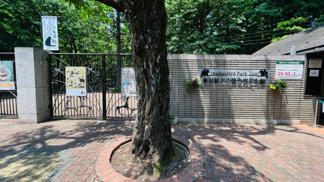 吉祥寺にある井の頭自然文化園 動物園 に行った感想や入園料まとめ リスがかわいい キチナビ