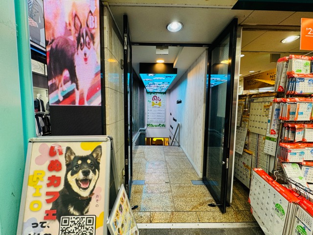 犬カフェRIO（りお）吉祥寺店