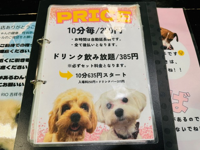 犬カフェRIO（りお）吉祥寺店