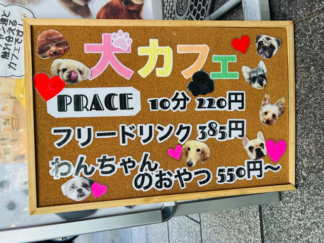 犬カフェRIO（りお）吉祥寺店