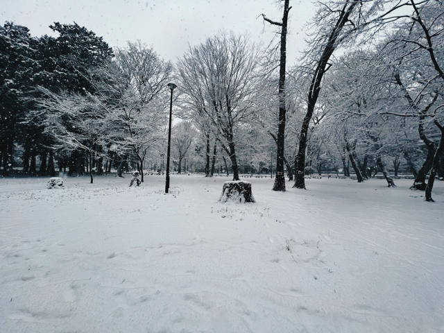 冬・雪の井の頭公園