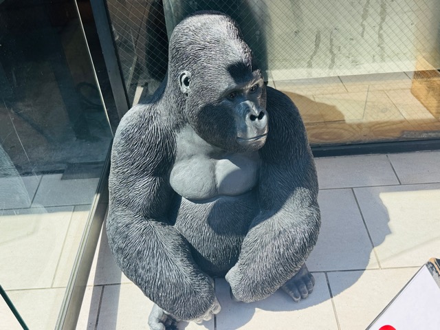 吉祥寺「トーキングゴリラ&デブー」ランチバイキング