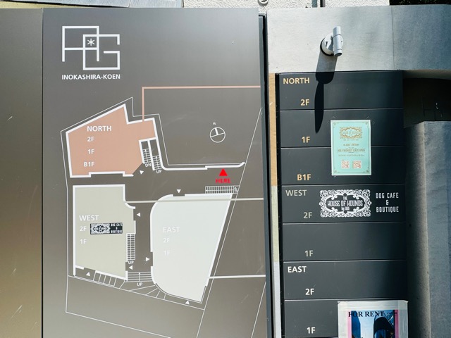 吉祥寺・井の頭公園「The House of Hounds by fäfä（ザ ハウスオブハウンズ バイ フェフェ）」