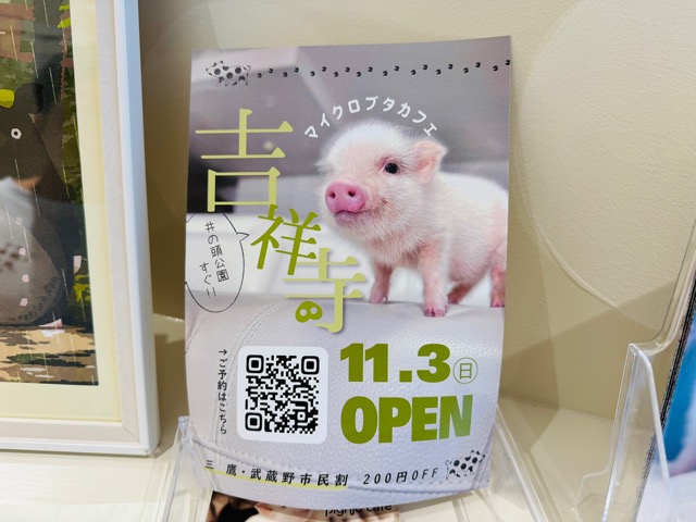 マイクロブタカフェ pignic cafe（ピグニックカフェ）吉祥寺店