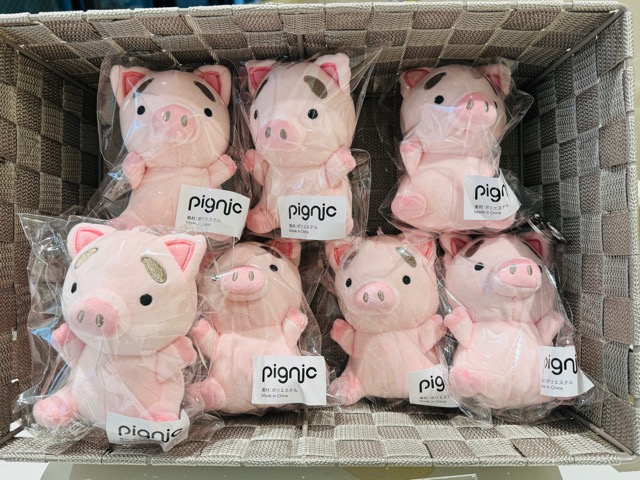 マイクロブタカフェ pignic cafe（ピグニックカフェ）吉祥寺店