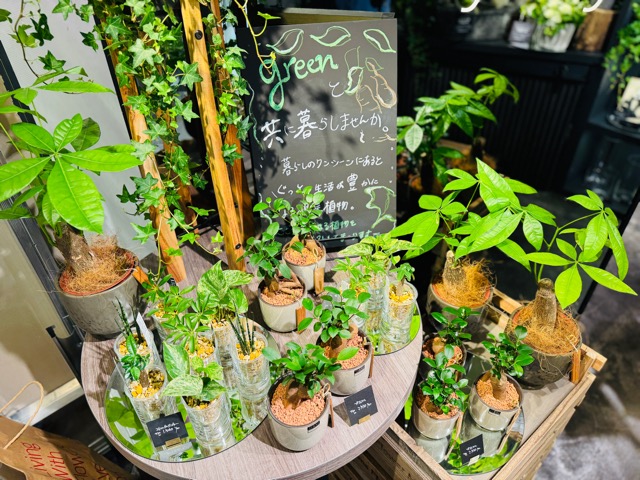 青山フラワーマーケット 吉祥寺