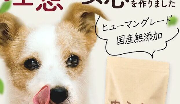 安心犬活