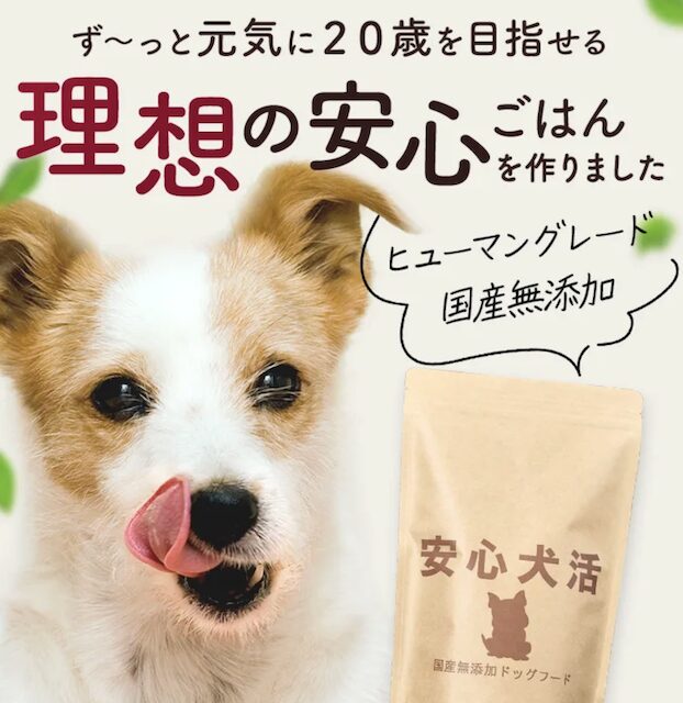 安心犬活