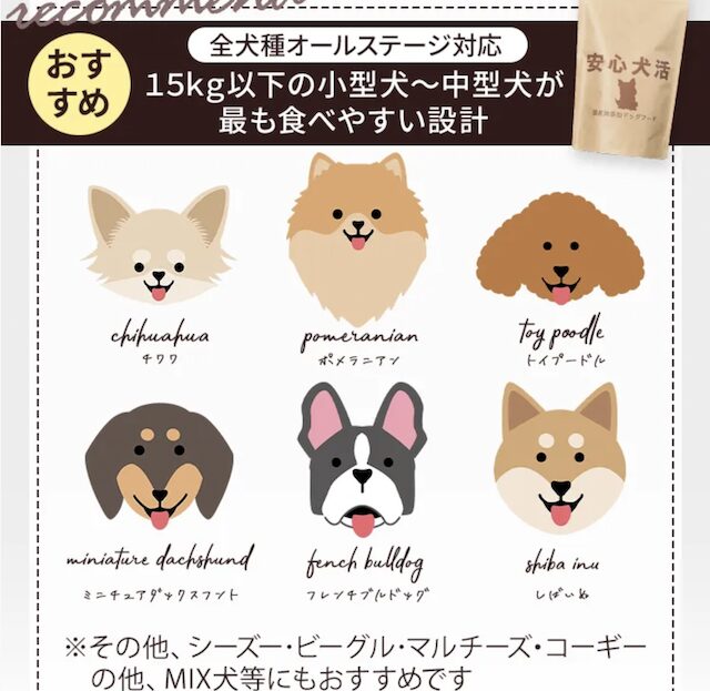 安心犬活