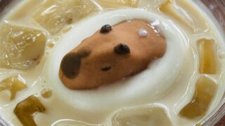 井の頭自然文化園「カピバラマシュマロのタピオカ黒糖ドリンク」