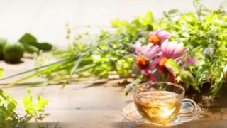 enherb（エンハーブ）アトレ吉祥寺店