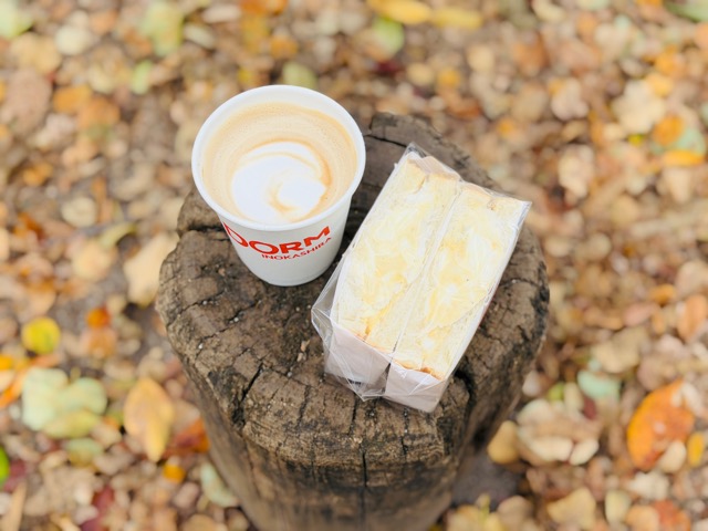 吉祥寺「DORM INOKASHIRA」