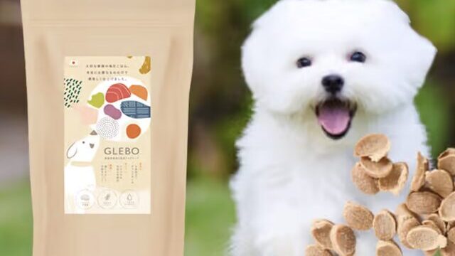 GLEBO（グレボ）の割引クーポン・お試しキャンペーン