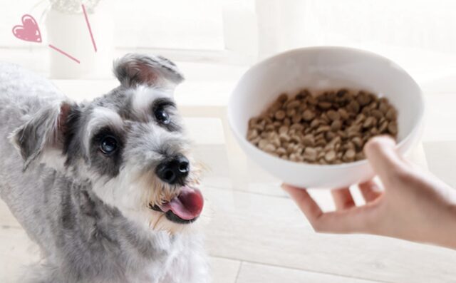 「金の旨味」株式会社topet プレミアムドッグフード