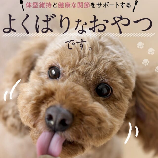 関節げんき このこのおやつじゅれ