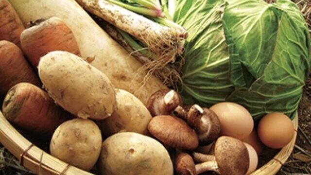【最安値】無農薬野菜ミレーの割引クーポン・お試しキャンペーン情報まとめ