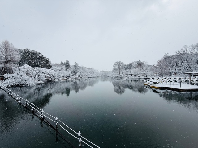 【2026年冬】雪の積もる「井の頭公園」｜ムーミン雪だるま