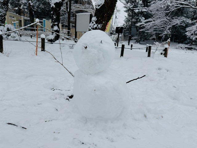 【2026年冬】雪の積もる「井の頭公園」｜ムーミン雪だるま