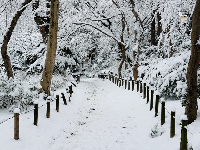 【2026年冬】雪の積もる「井の頭公園」｜ムーミン雪だるま