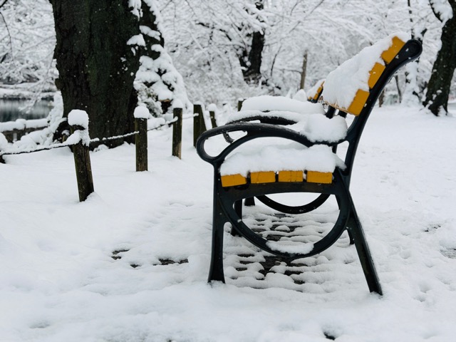 【2026年冬】雪の積もる「井の頭公園」｜ムーミン雪だるま