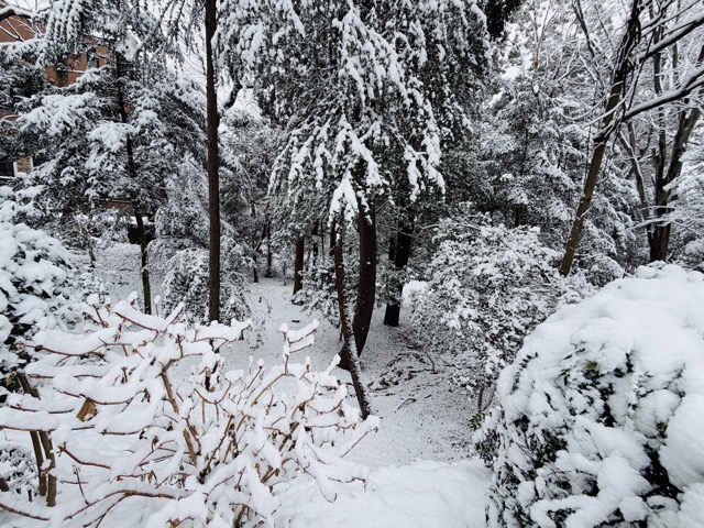 【2026年冬】雪の積もる「井の頭公園」｜ムーミン雪だるま