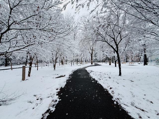 【2026年冬】雪の積もる「井の頭公園」｜ムーミン雪だるま