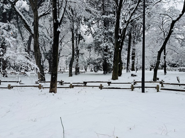 【2026年冬】雪の積もる「井の頭公園」｜ムーミン雪だるま