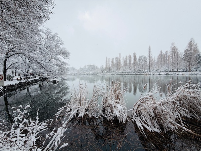 【2026年冬】雪の積もる「井の頭公園」｜ムーミン雪だるま