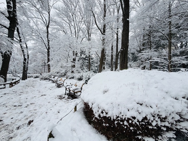 【2026年冬】雪の積もる「井の頭公園」｜ムーミン雪だるま