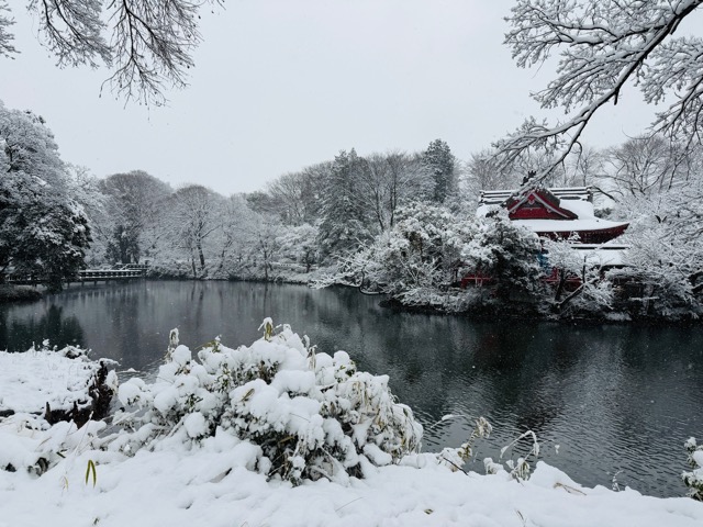【2026年冬】雪の積もる「井の頭公園」｜ムーミン雪だるま