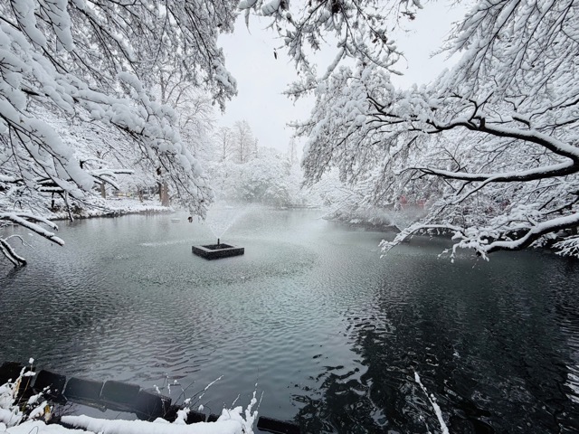 【2026年冬】雪の積もる「井の頭公園」｜ムーミン雪だるま