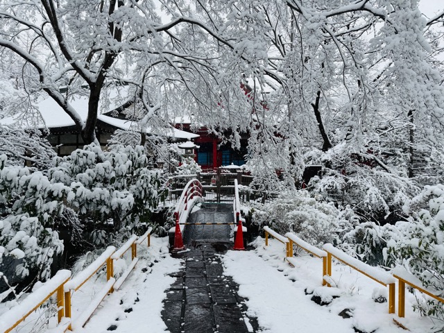 【2026年冬】雪の積もる「井の頭公園」｜ムーミン雪だるま