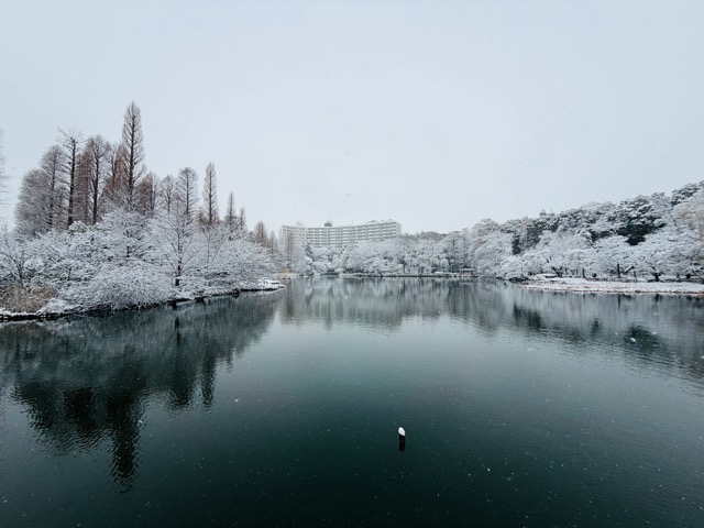 【2026年冬】雪の積もる「井の頭公園」｜ムーミン雪だるま