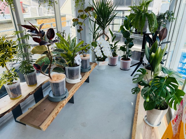 西荻窪「one room gallery」アートギャラリー&カフェ