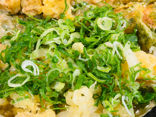 いぶきうどん 吉祥寺店の「いぶきスペシャル」
