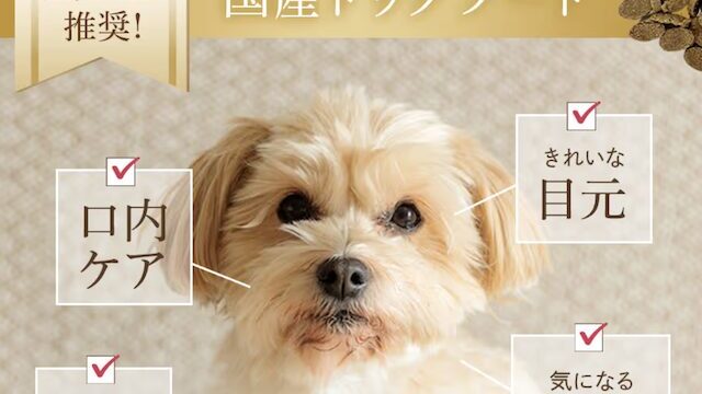 ミシュワン小型犬用の値段や送料は？最安値で買える通販サイトを紹介