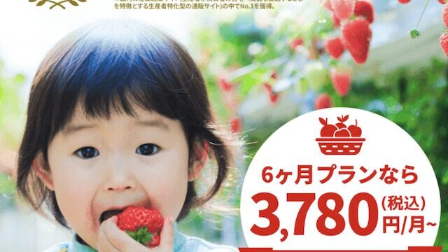 食べチョクフルーツセレクト定期便