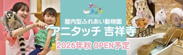 アニタッチ 吉祥寺