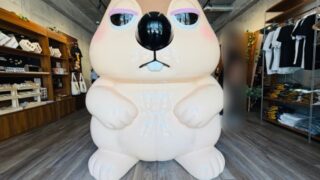 マーモット マモテラス 吉祥寺店
