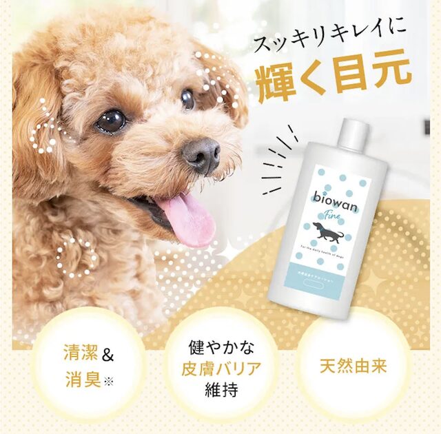 【最安値】ビオワンファインの割引クーポン・お試しキャンペーン・セール情報まとめ