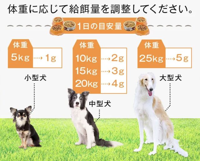 【最安値】カームワンの割引クーポン・お試しキャンペーン・セール情報まとめ