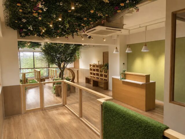 吉祥寺マーモットカフェ「マモテラス」