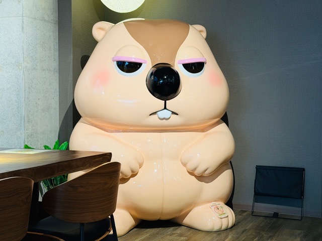 マーモット マモテラス 吉祥寺店