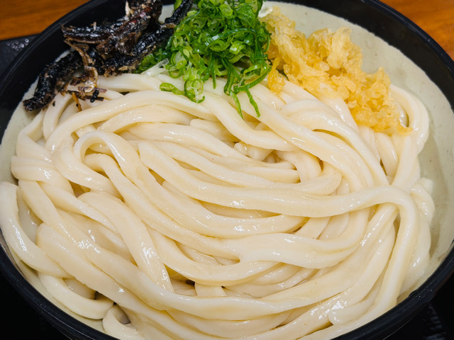 いぶきうどん「濃厚つけ汁うどん」