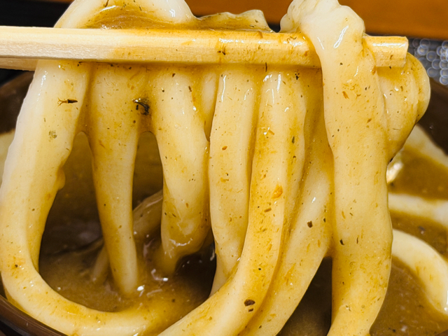 いぶきうどん「濃厚つけ汁うどん」
